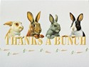 Thanks A Bunch Blank Note Cards - 18 Count