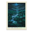 Great Smoky Mountains NP Firefly Magic Postcard