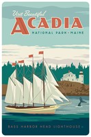 Acadia NP Bass Harbor Head Magnetic Postcard