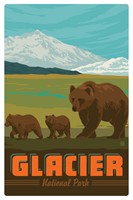 Glacier National Park Bear Family Magnetic Postcard