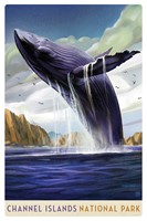 Channel Islands NP Breaching Whale Magnetic Postcard