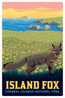 Channel Islands NP Island Fox Magnetic PC