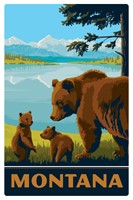 Wildlife Bears MT Magnetic Postcard