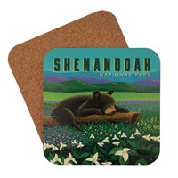 Shenandoah National Park Wildflower Cub Coaster