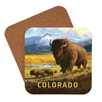 CO Coaster