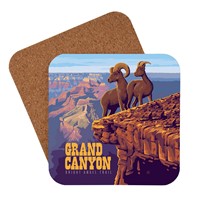 Grand Canyon NP Bright Angel Trail Coaster