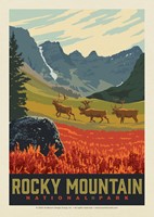 Rocky Mountain National Park Caribou Red Flowers Postcard