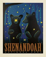 Shenandoah National Park Firefly Cubs 8" x 10" Print