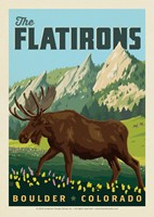 Moose The Flatirons, CO Postcard