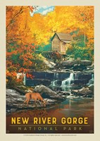 New River Gorge National Park & Preserve Fall Colors