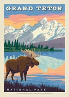 Grand Teton National Park Bull Moose Postcard