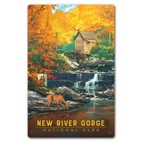 New River Gorge NP & Preserve Fall Colors Magnetic Postcard