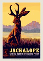 Grand Teton's Jackalope Postcard