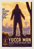 Joshua Tree's Yucca Man Postcard