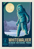 Acadia's White Walker Postcard