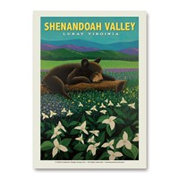 Shenandoah Valley Luray Sleeping Bear Vert Sticker