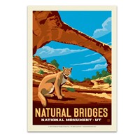 Natural Bridges National Monument Postcard