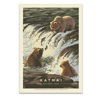 Katmai NP Fishing Party Postcard