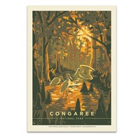 Congaree NP Daybreak
