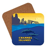 Channel Islands NP Dolphins Coaster