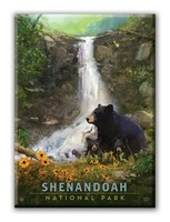 Shenandoah NP Bear Family Magnet