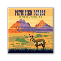 Petrified Forest NP Antelope Square Magnet