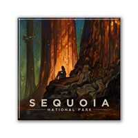 Sequoia NP Nature's Cathedral Square Magnet