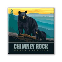 Chimney Rock NC Mama Bear and Cub Square Magnet