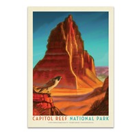 Capitol Reef NP Falcon Roost Postcard
