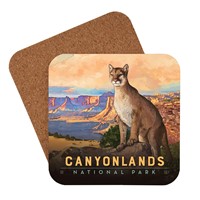 Canyonlands NP Cougar Coaster