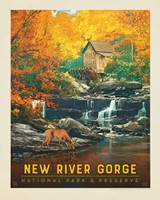 New River Gorge NP& Preserve Fall Colors 8" X 10" Print