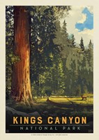 Kings Canyon NP Sequoia Grove Postcard